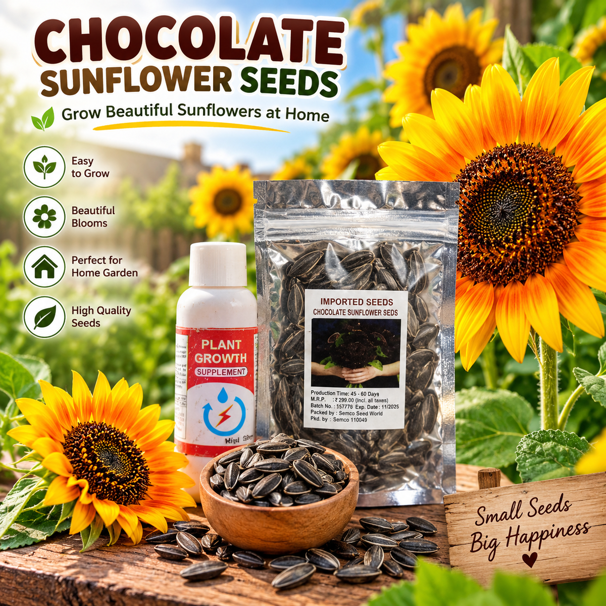 Chocolate Sunflower Seeds