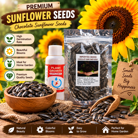 Chocolate Sunflower Seeds