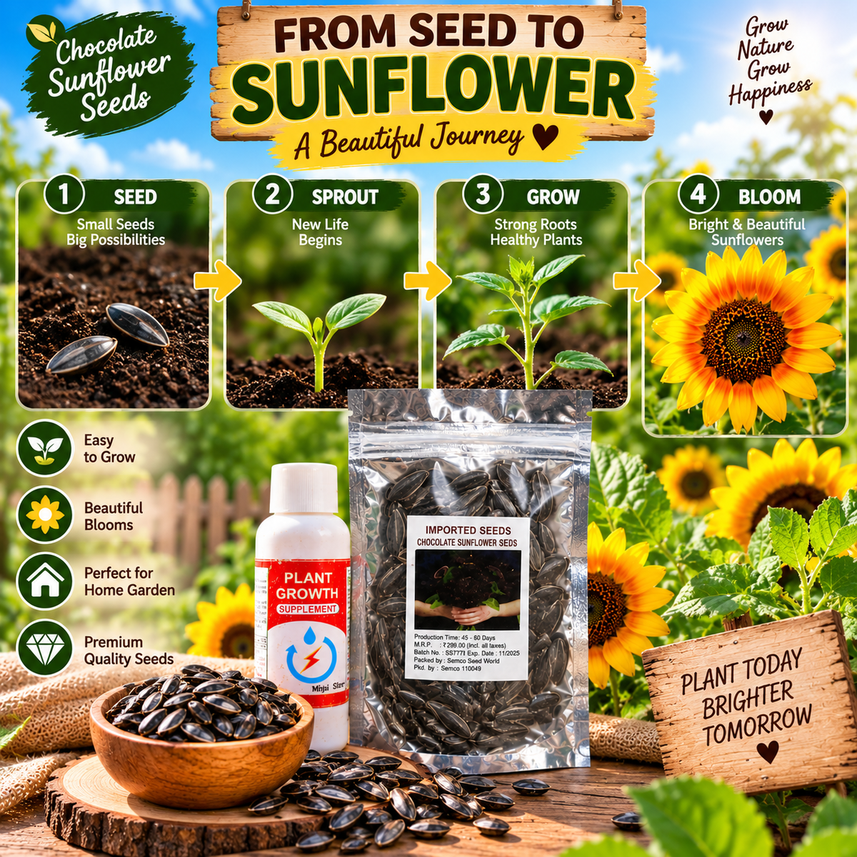 Chocolate Sunflower Seeds